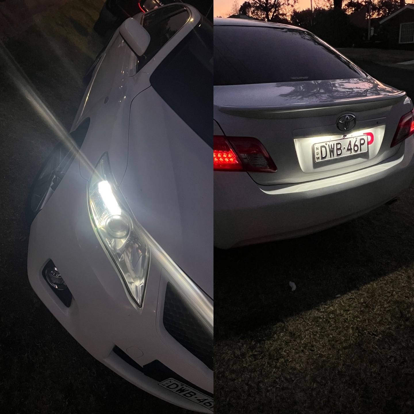 T10 LED Bulb LED angel eye lights by Spectrum Angel Eyes