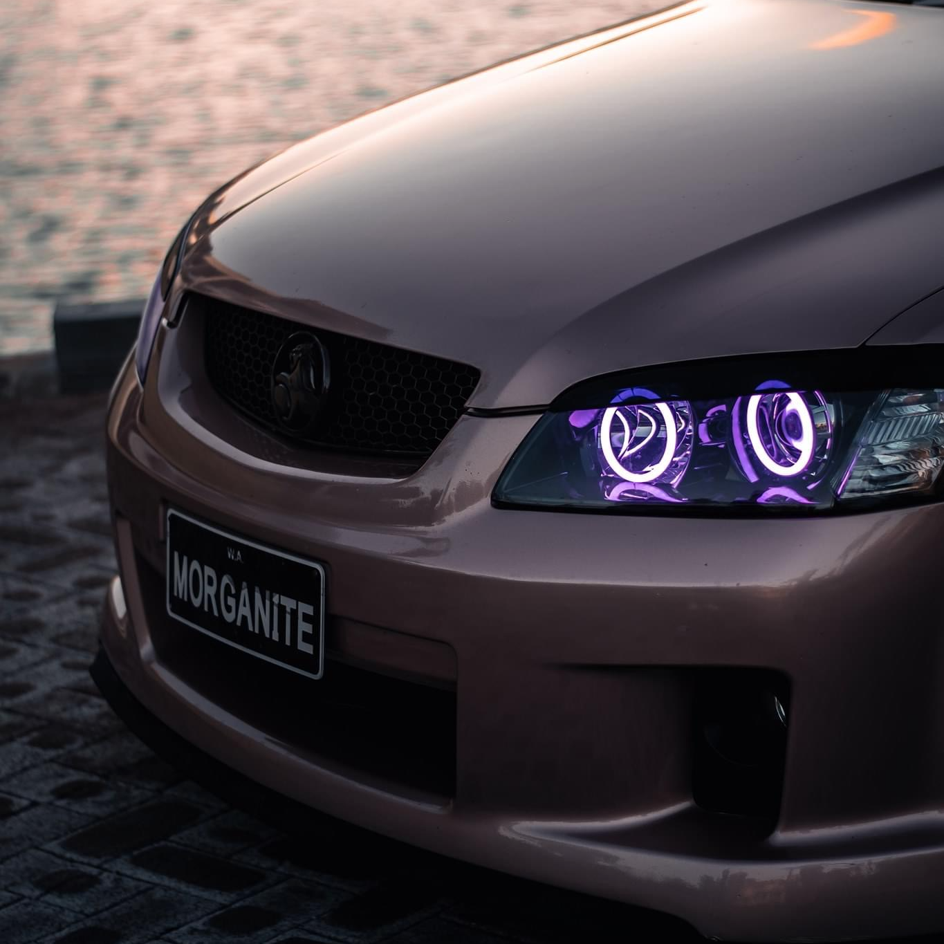 Holden VE Series 1 Headlights Purple